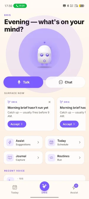 DRIS - Your AI Assistant Screenshot 3