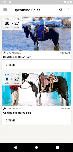 Gold Buckle Horse Sale Screenshot 0