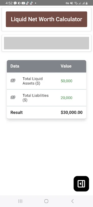 Liquid Net Worth Calculator Screenshot 3