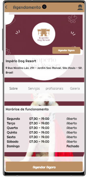 Império Dog Resort Screenshot 1