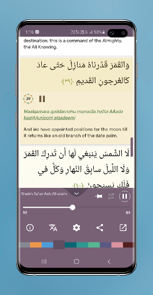 Surah Yaseen Audio Mp3 Offline and Reading Screenshot 3