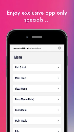 Homestead Pizza Screenshot 2