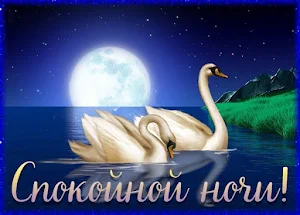 Спокойной ночи Screenshot 1