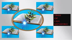 Tree Of Life Ministry Screenshot 2