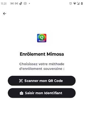 Mimosa MM Screenshot 2