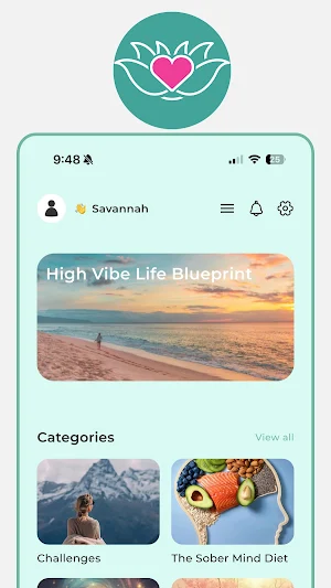 High Vibe Life Screenshot 0