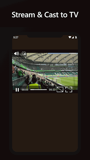 Smart Media Player Screenshot 1
