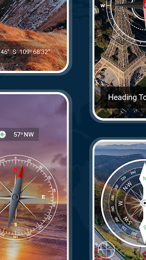 Digital Compass screenshot 3