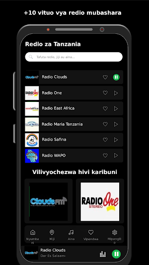 Redio za Tanzania Screenshot 0