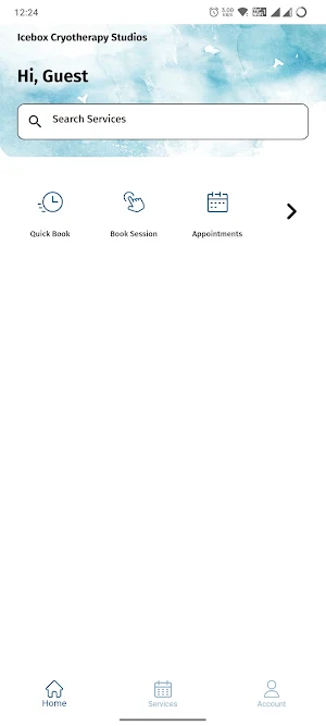 Icebox Studios screenshot 1