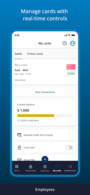 Nicolet Bank SpendTrack Screenshot 2
