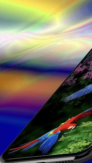 Parrot Wallpaper HD Screenshot 0