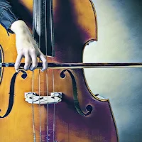 Contrabass by Ear