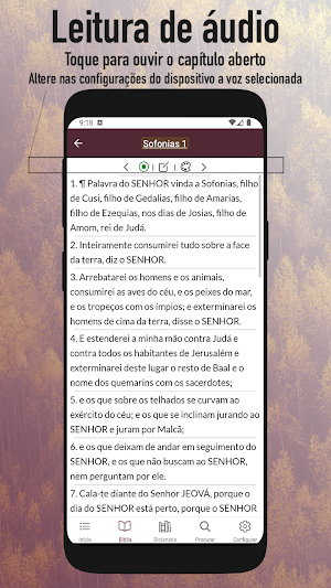 Almeida Revista e Corrigida Screenshot 3