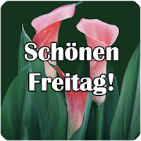 Guten Morgen, schönen Freitag!
