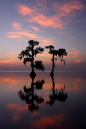 Louisiana Wallpaper HD Screenshot 2