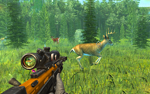 Wild Animal Sniper Deer Hunter Screenshot 0