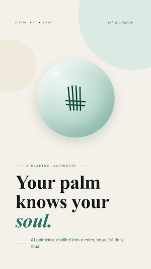 palm'n'soul Screenshot 0