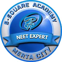 BSQUARE MERTACITY