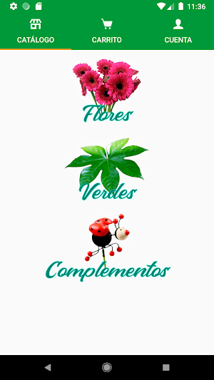 CruzFlor Screenshot 1