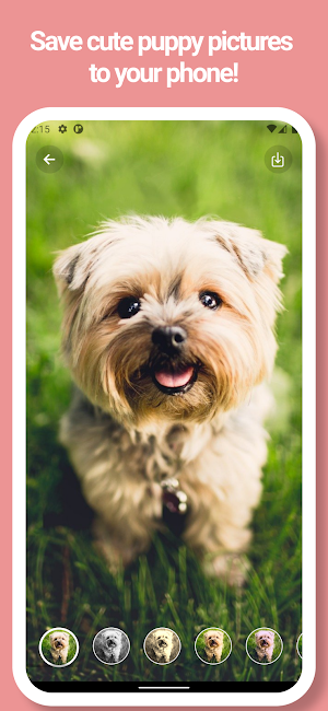 Puppy, Dog Wallpapers - Picture, Movie Screenshot 1