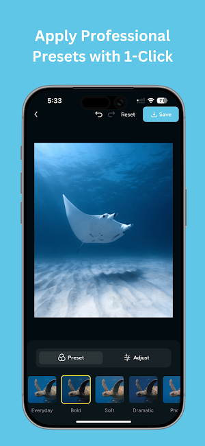 DiveClick Screenshot 1