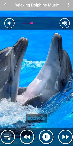 Relaxing Dolphin Sounds - Dolphin singing Screenshot 0