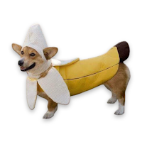 WAStickerApps - Pets Stickers