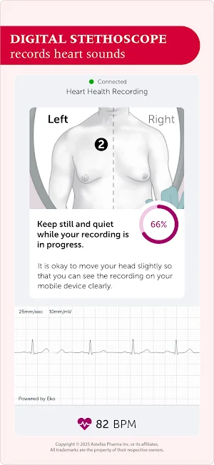 DIGITIVA Screenshot 2