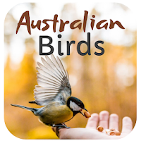 Australian Bird Sounds
