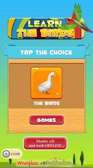 Learn the Birds Screenshot 0