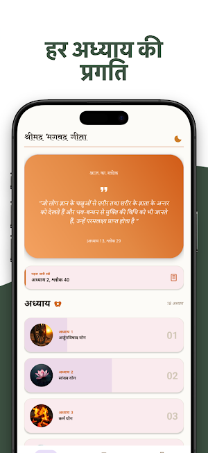Hindi Bhagavad Gita Screenshot 3
