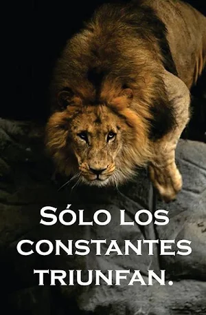 Imágenes de motivación Screenshot 1