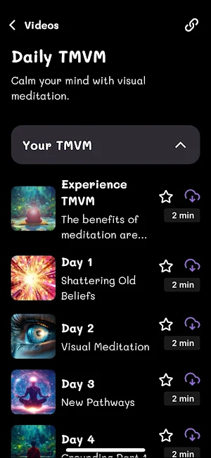 TMVM Screenshot 1