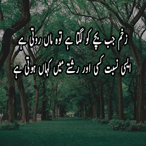 Maa Shayari Urdu Screenshot 0
