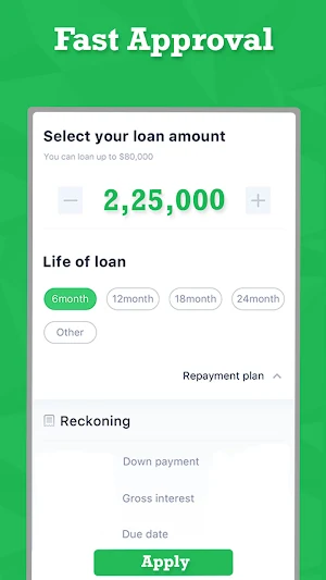 Instant Loan Mobile Advisor Screenshot 3