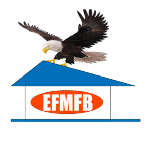 Eagle Flight MFB Mobile Screenshot 0