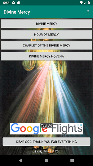 Divine Mercy Screenshot 0