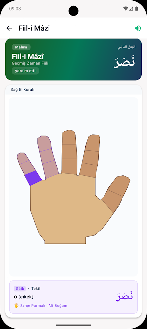 Emsile Screenshot 1