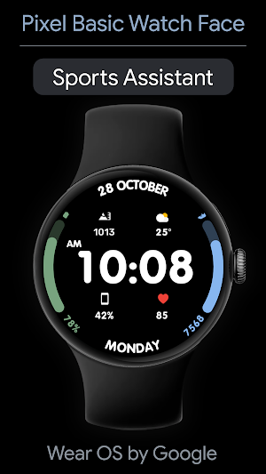 Pixel Basic Watch Face Screenshot 0