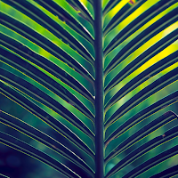 palm tree wallpaper