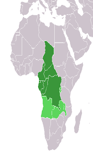 Central Africa Screenshot 2