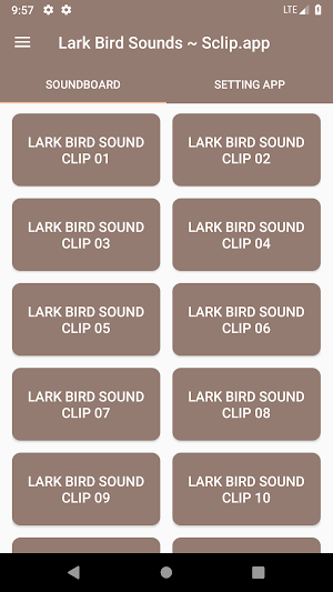 Lark Bird Sound Collections ~ Sclip.app Screenshot 0