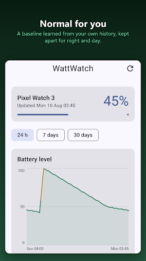WattWatch: Watch Battery Screenshot 3