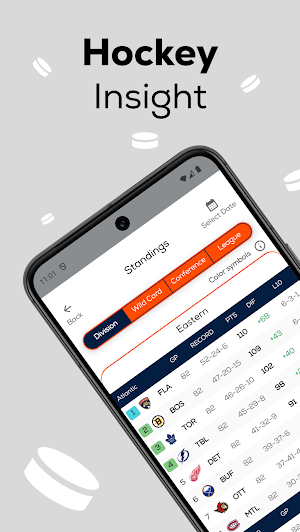 Hockey Insight Screenshot 0
