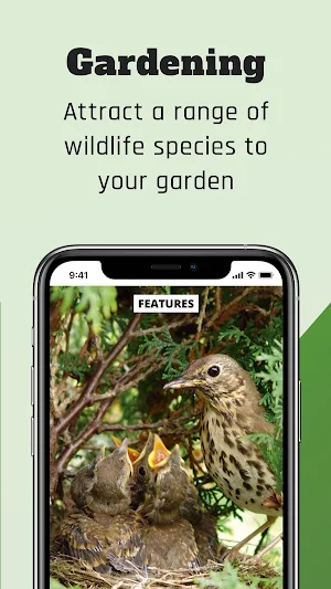 BBC Wildlife Magazine - Animal News, Facts & Photo Screenshot 2