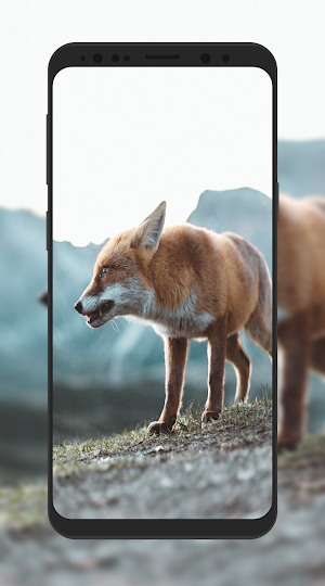 Fox Wallpaper HD Screenshot 2
