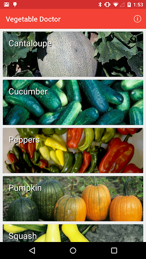 Vegetable Doctor Screenshot 0