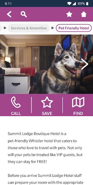 Summit Lodge Screenshot 3