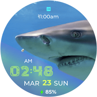 Shark Fin - watch face